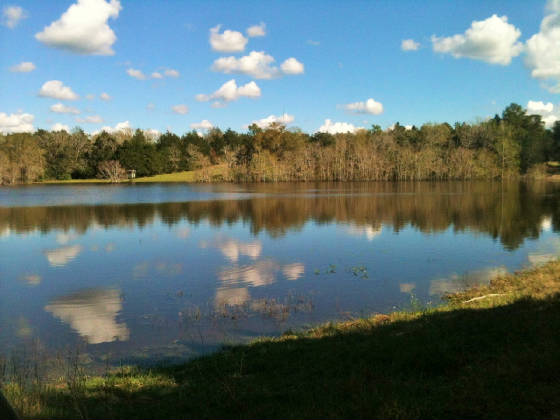 NUfarm4thlake.JPG