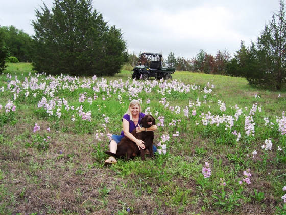 TWRwildflox2012011.JPG